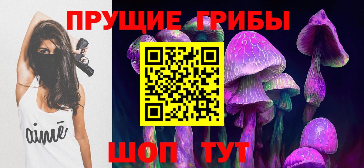 Тихорецк  Псилоцибиновые грибы мицелий  Вход с VPN 